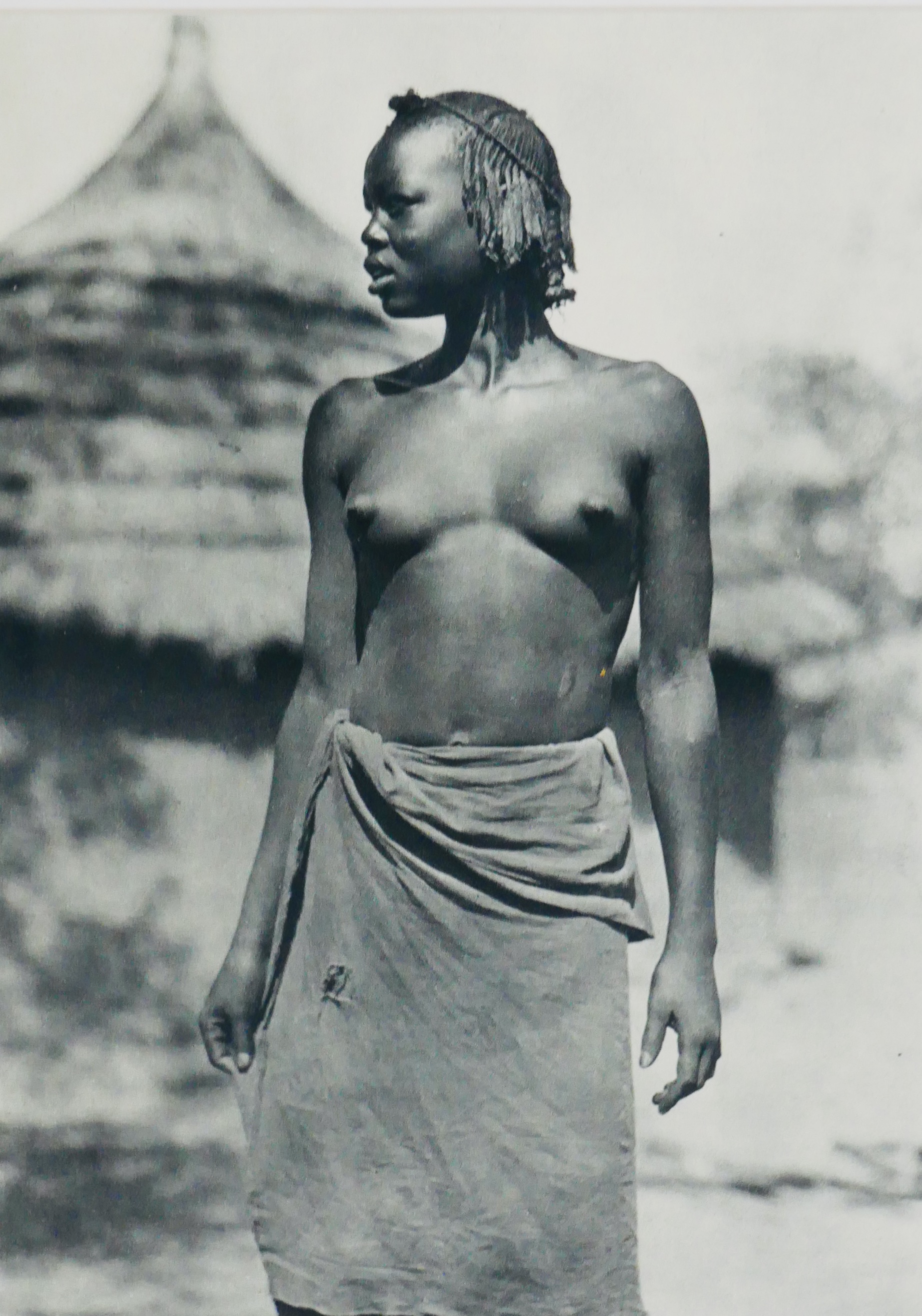 Photogravure, Femme du Soudan, Autriche - 3