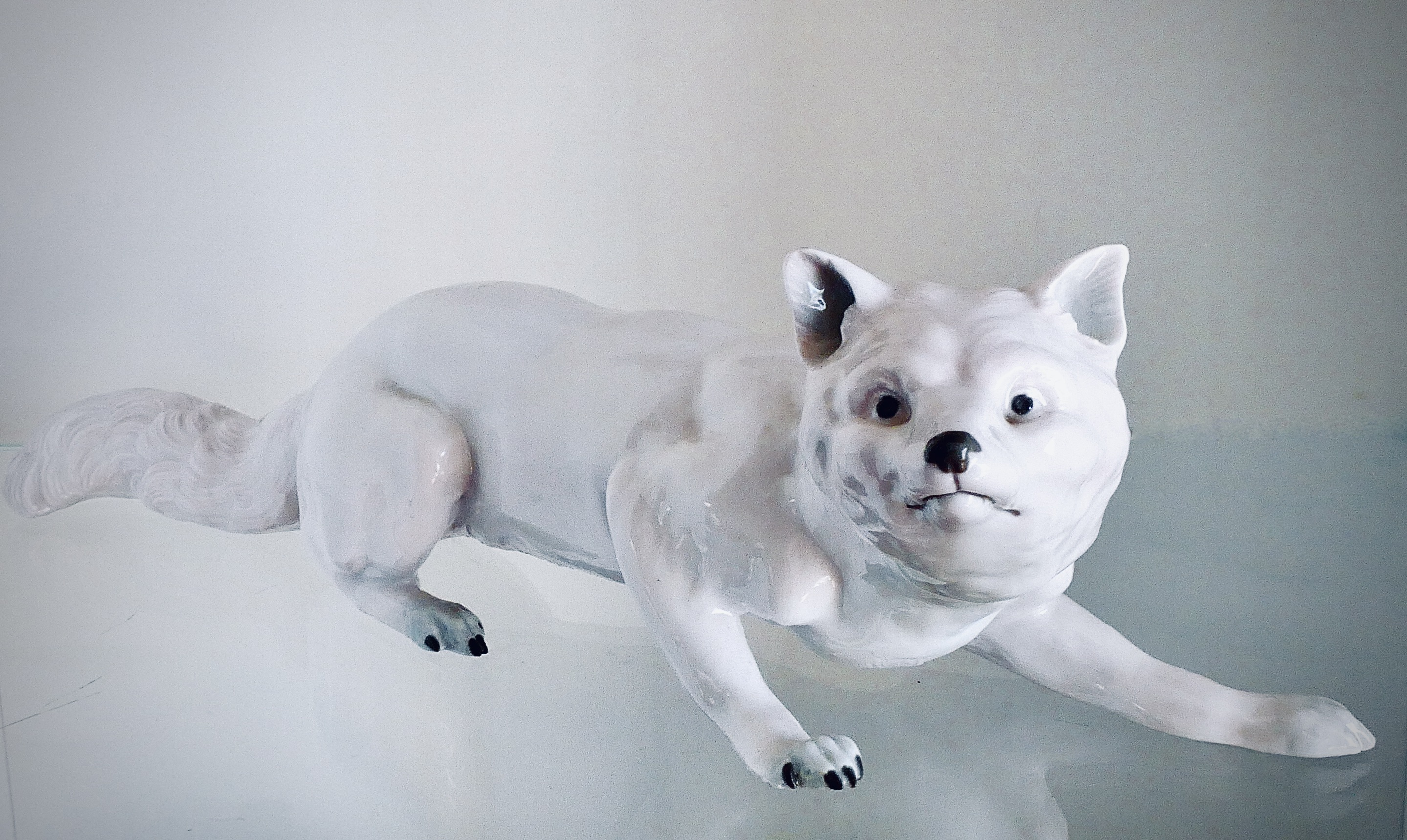 White Porcelain Wolf or Fox with Gray Finish, E. & A. Müller, Schwarza/Saale, Germany, late 19th, early 20th century - 6