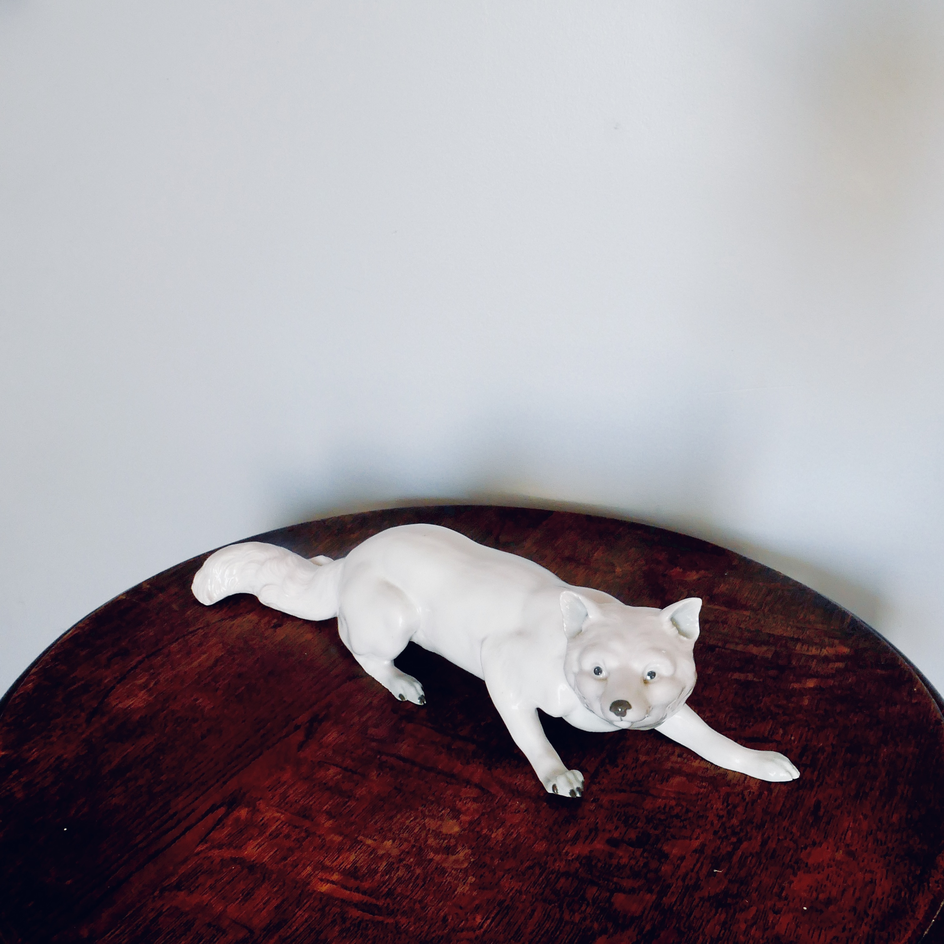 White Porcelain Wolf or Fox with Gray Finish, E. & A. Müller, Schwarza/Saale, Germany, late 19th, early 20th century - 9